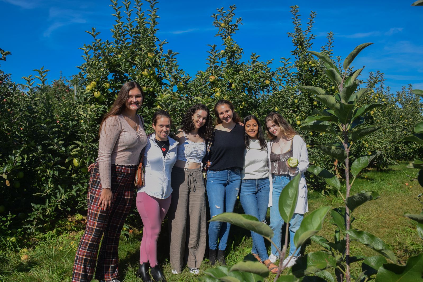 Apple picking with the McKenzies