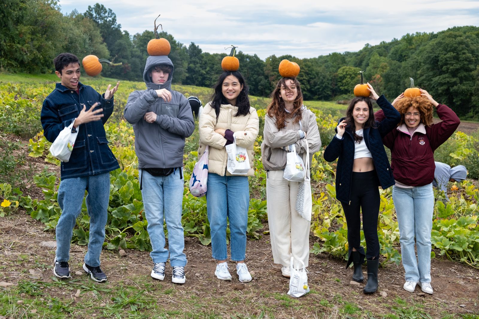 The Herd at a local orchard picking apples, posing for the photo with pumpkins on their heads