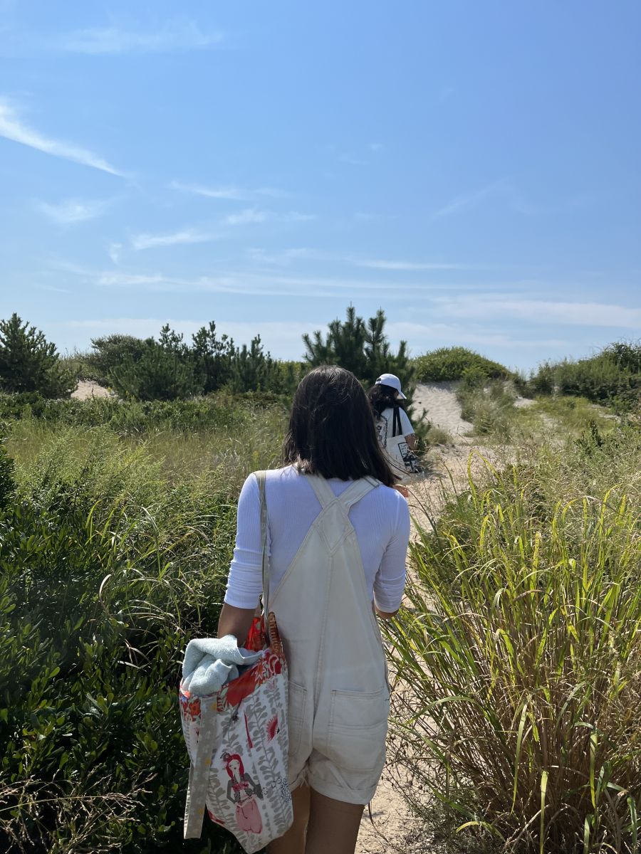 Yale students following a beach trail