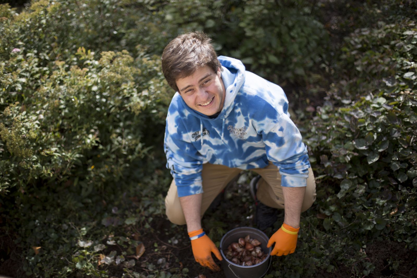 Bulb planting at the Stiles Garden