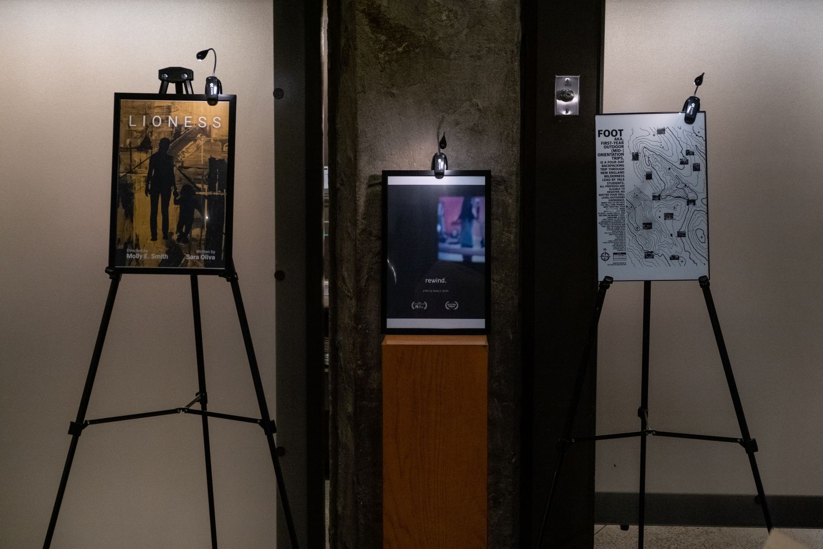 Film Fest posters