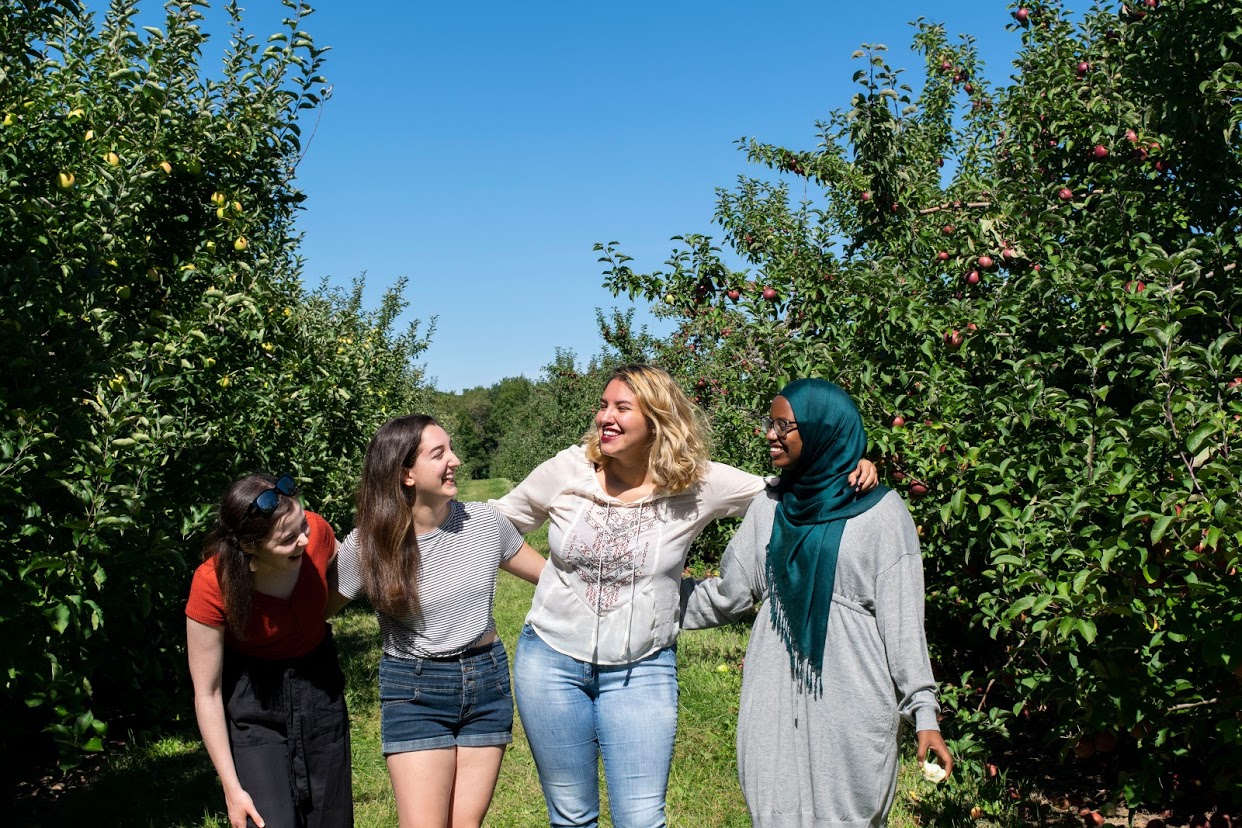 A group of 4 friends at the orchard