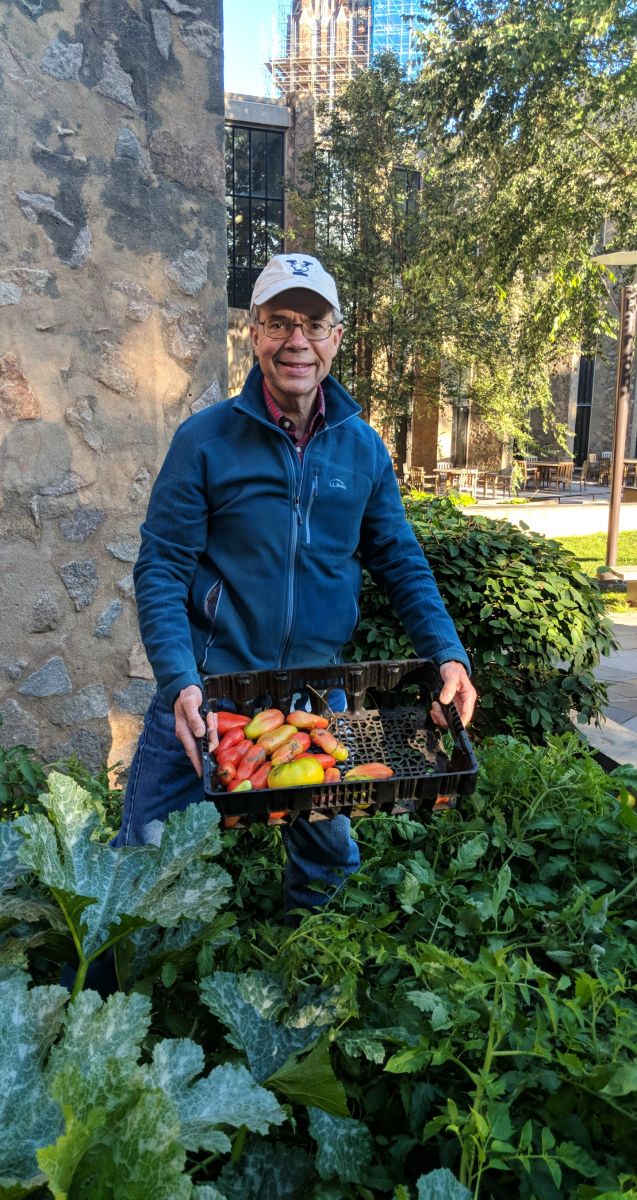 Family weekend had parents harvesting at the Stiles Garden
