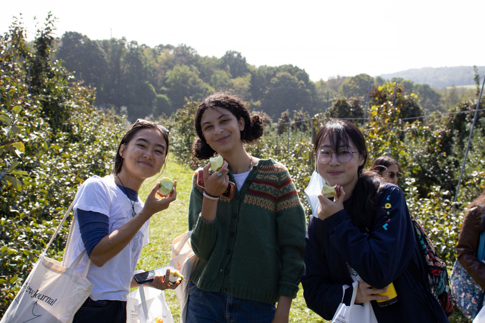 Group of 3 eating apples at the orchard