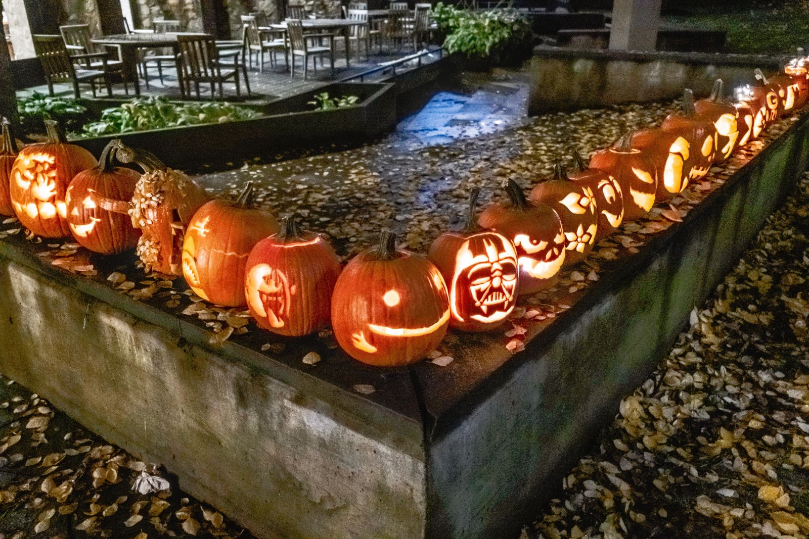 A bunch of lit pumpkins