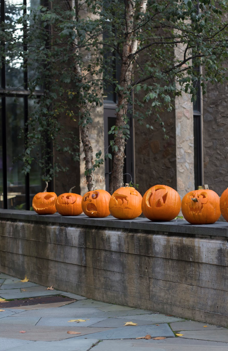 All of the carved pumpkins lined up
