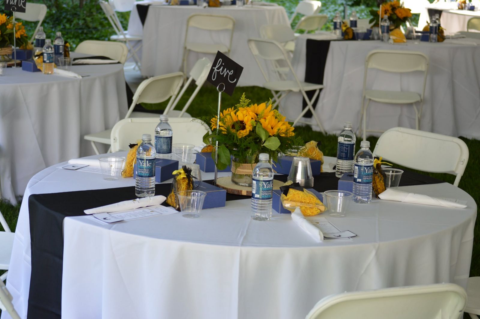 Senior Dinner Table Shot