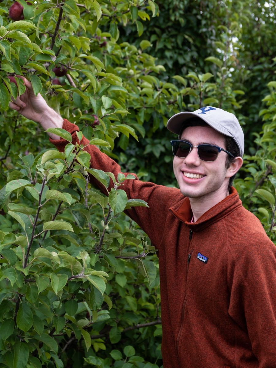 Apple Picking with The Herd
