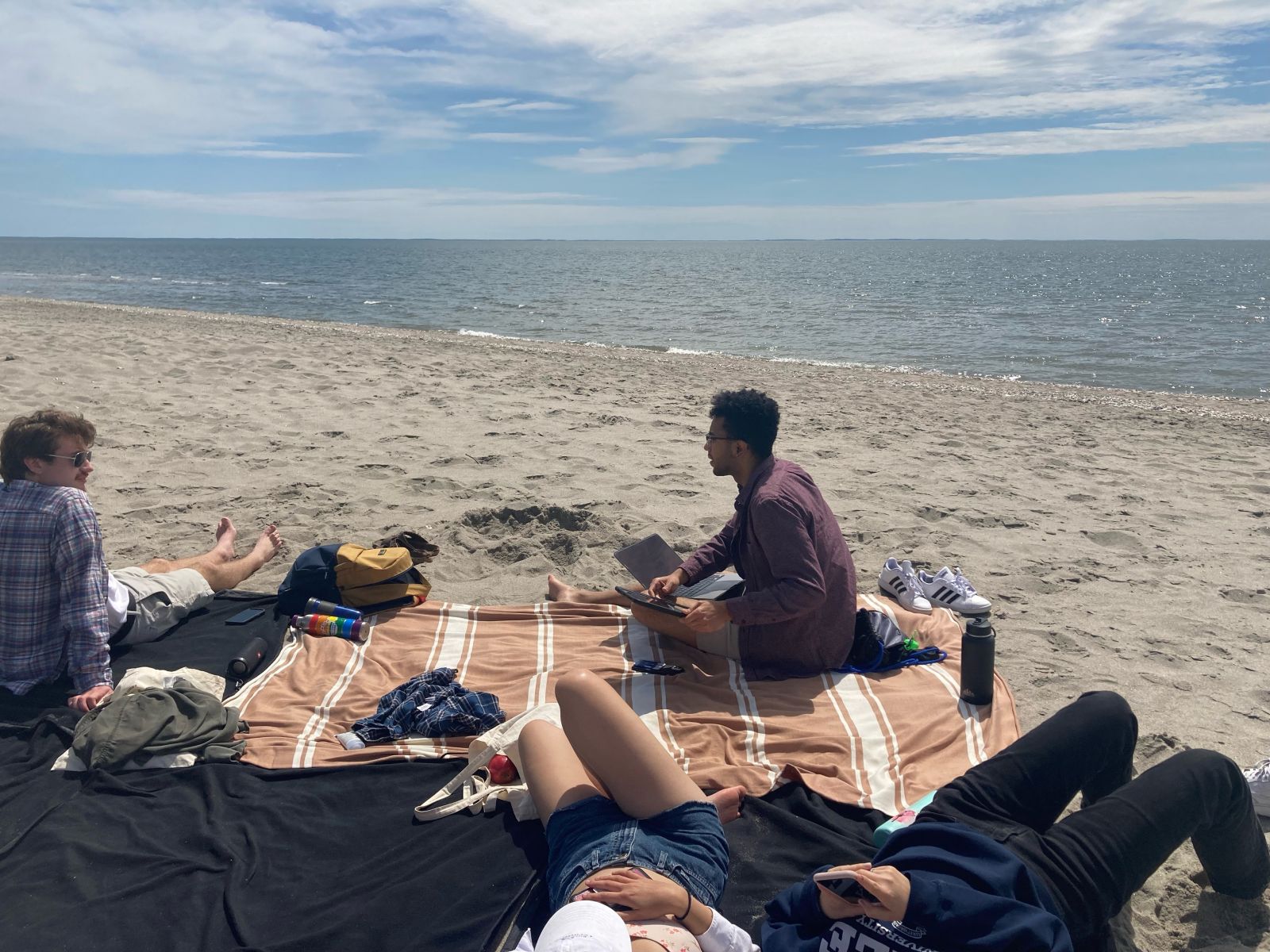 The Herd on the beach blanket