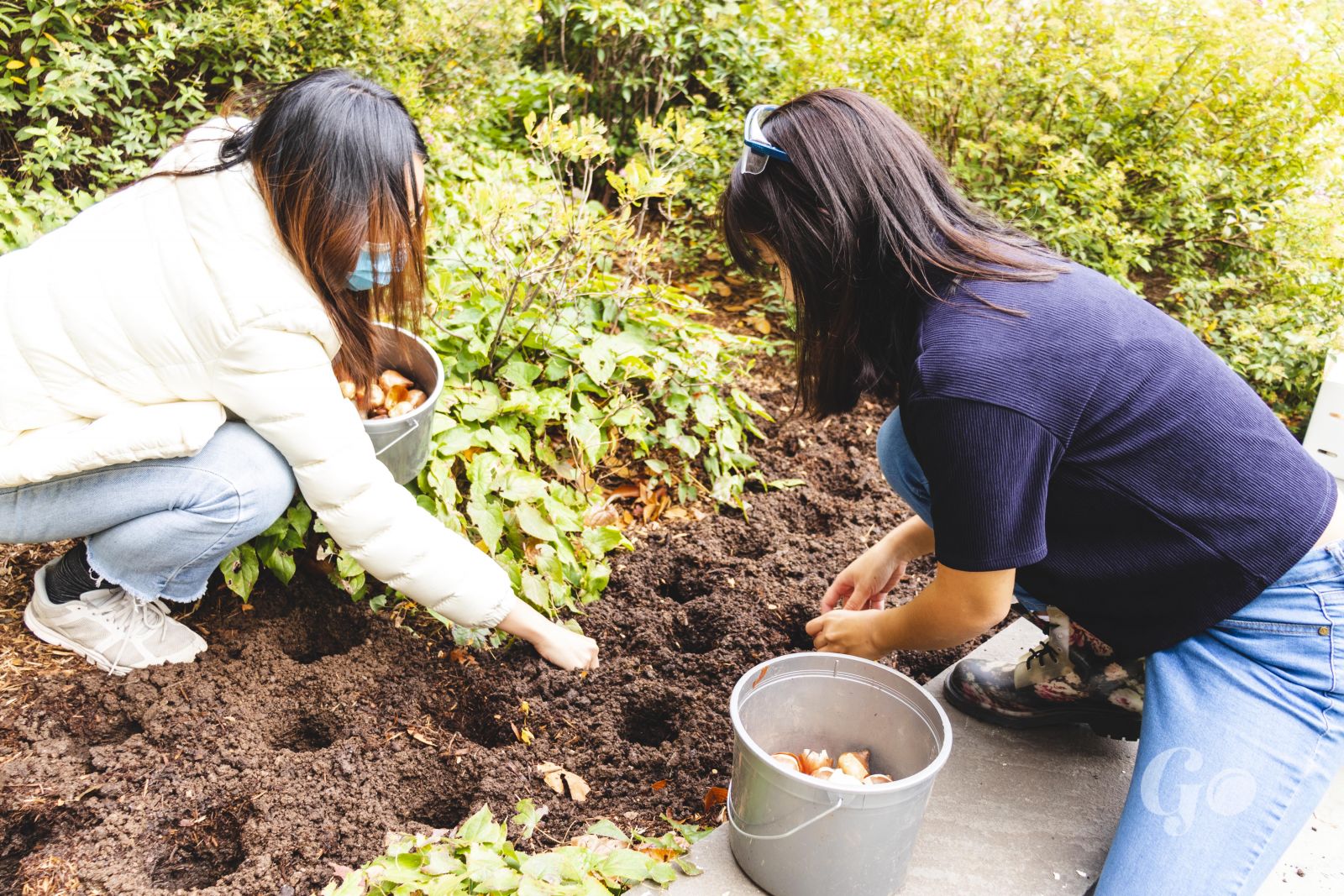 Bulb planting at the Stiles Garden