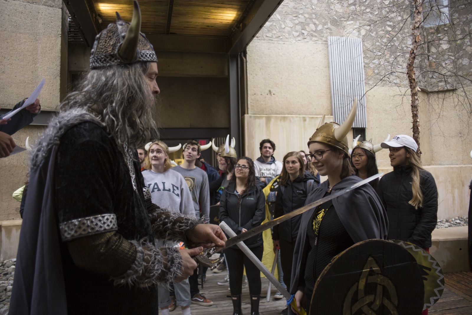 Stilesian Vikings confronting enemy vikings