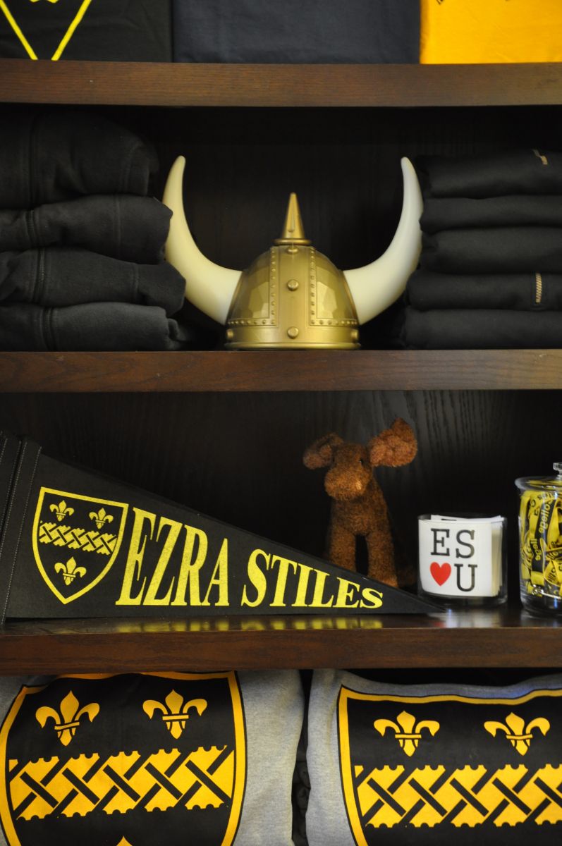 Viking Helmet on the Moose Merch Shop