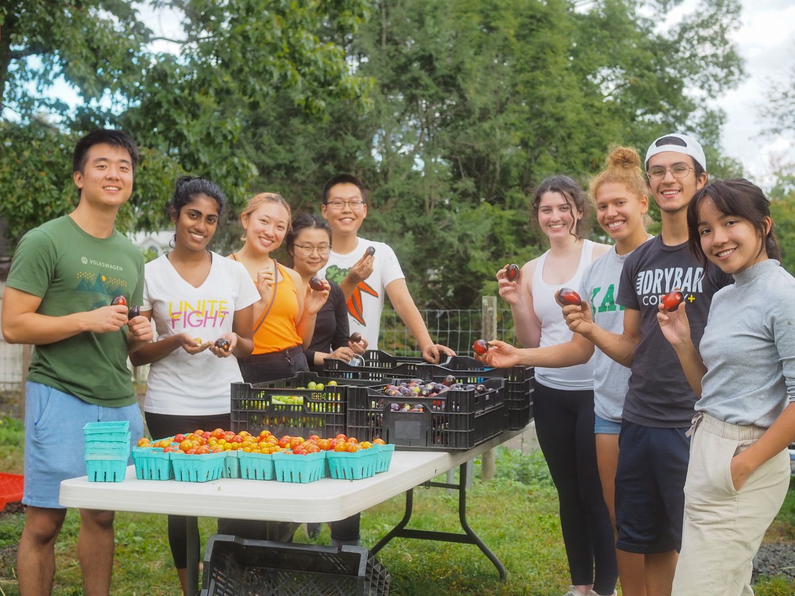Stiles Sustainability handing out free vegetables