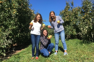 Apple Picking 2017 1