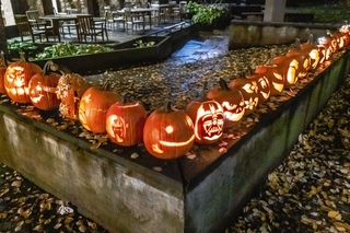 A bunch of lit pumpkins