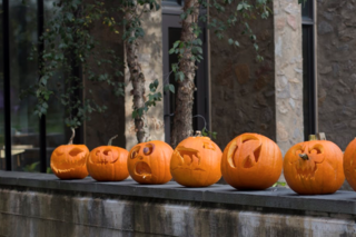 All of the carved pumpkins lined up