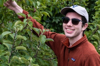 Apple Picking with The Herd