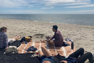 The Herd on the beach blanket