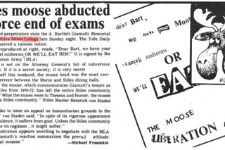Stiles newspaper climping
