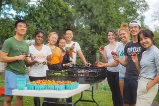 Stiles Sustainability handing out free vegetables
