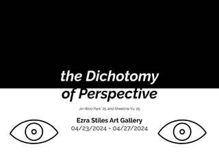Dichotomy of Perspective, Jin Woo Park & Sheeline Yu, April 2024